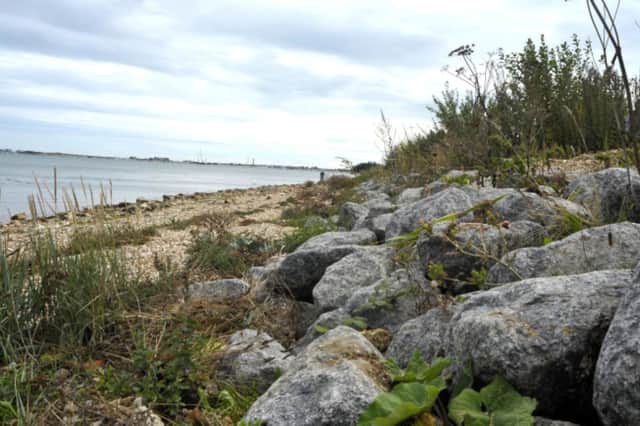 Sea defences at Milton Common.