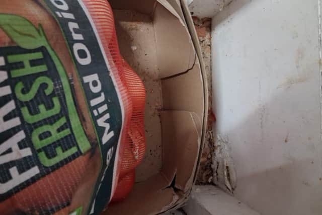 Copnor Takeaway in Copnor Road has been closed following a mouse infestation.