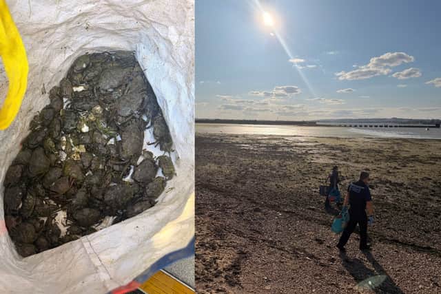 Officers at the scene of a crash have had a turn of events after spotting people collecting a large quantity of crabs and oysters and attempting to leave with the huge haul.
