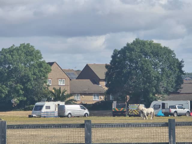 Travellers in Anchorage Park