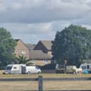 Travellers in Anchorage Park