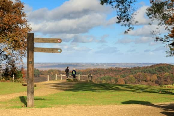 Hindhead Commons and the Devil's Punch Bowl
Image credit: National Trust / John Miller