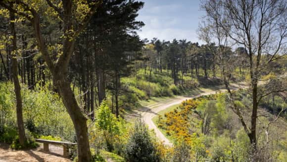 Hindhead Commons and the Devil's Punch Bowl where the old A3 used to be
Image credit: National Trust / Chris Lacey