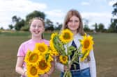 Pictured - Jasmine, 10 and Scarlett, 12 from Petersfield at Sam's Sunflowers 

Photos by Alex Shute