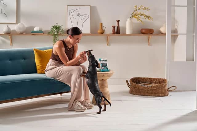 Members can earn credits, free gifts and exclusive offers through the rewards programme
