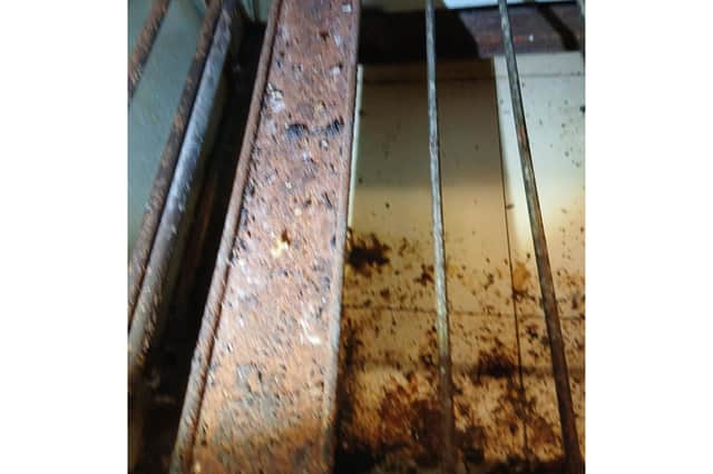 Mouse droppings found in oven during hygiene inspection at restaurant