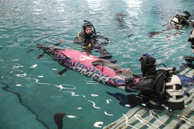 The biennial European International Submarine Races (eISR) have returned to the QinetiQ Ocean Basin in Gosport. Pictured: Inside QineticQ Ocean Basin where competitors are preparing their submarines.