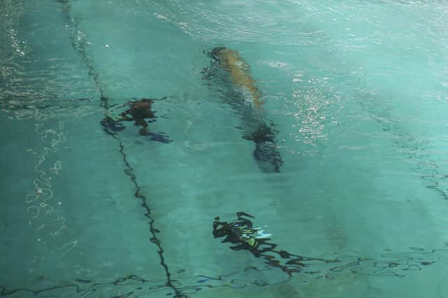 Pictured: Inside QineticQ Ocean Basin where competitors are preparing their submarines