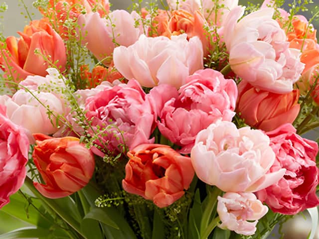 August is an ideal time to start planning ahead for spring.