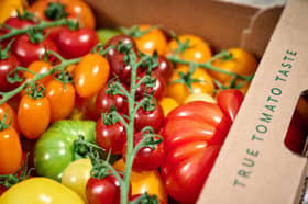 Growing smarter: Isle of Wight Tomatoes tackle waste with data innovation