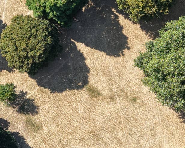 My Portsmouth By Drone has captured pictures of potential parch marks at Milton Park. 