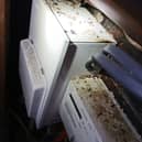 Mouse droppings found at Portsmouth restaurant 