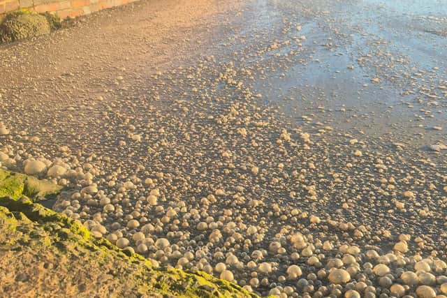 Water by the Ship Inn in Langstone on August 8, 2026