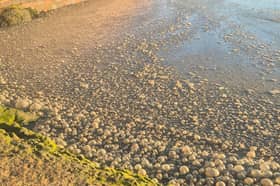 Water by the Ship Inn in Langstone on August 8, 2026