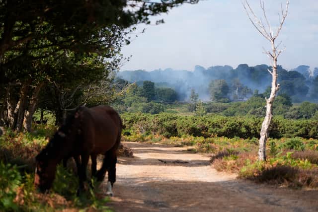 Smoke rises from a major heathland blaze in the New Forest near Ringwood in Hampshire. More than 20 fire engines are tackling the blaze near the A31 after a vehicle fire spread to the nearby heathland on Sunday.