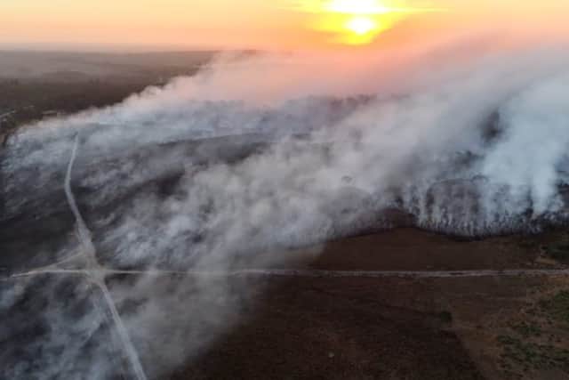 Firefighters are continuing to tackle the blaze in the nearby heathland next to the A31.