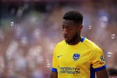 Pompey midfielder Ebou Adams