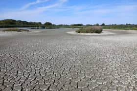 Titchfield's North Scrape has completely dried out due to extreme weather. Avian Botulism has spread.
