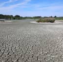 Titchfield's North Scrape has completely dried out due to extreme weather. Avian Botulism has spread.