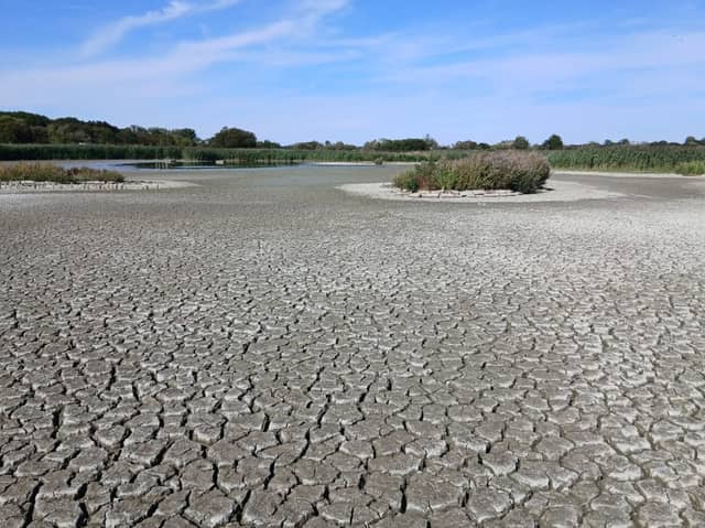 Titchfield's North Scrape has completely dried out due to extreme weather. Avian Botulism has spread.
