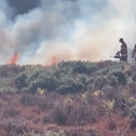 Firefighters battling the A31 heathland blaze days after it started on August 9.