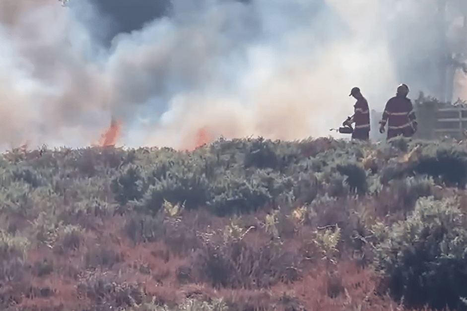 Firefighters battling the A31 heathland blaze days after it started on August 9.