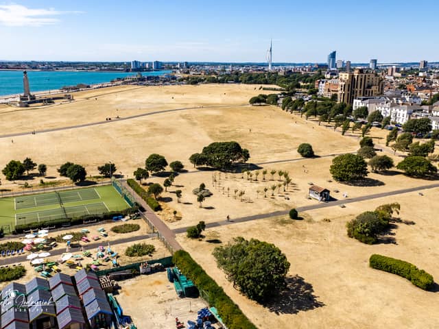 Disposable barbecues have been temporarily banned from sale following Portsmouth City Council's recent prohibition. Pictured: An arid Southsea Common on August 14 in extremely hot conditions.