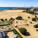 Southsea Common and other green spaces have been obliterated by the drought.