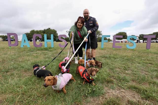 Dachs-Fest brings hundreds of sausage dogs from across the region together