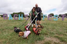 Dachs-Fest brings hundreds of sausage dogs from across the region together 