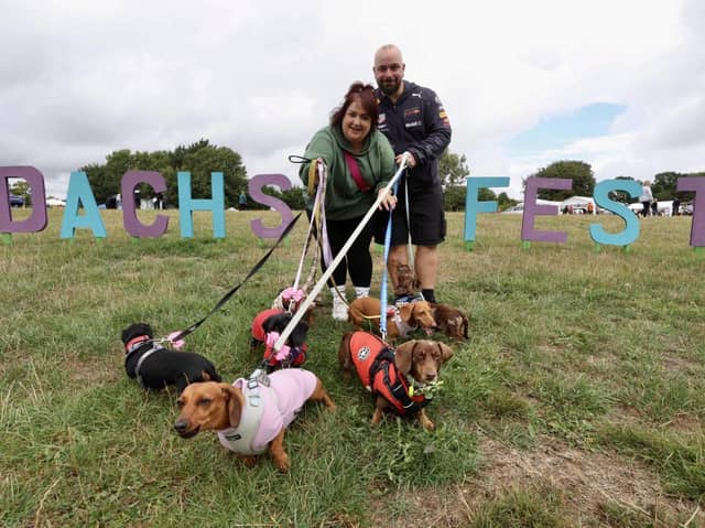 Dachs-Fest brings hundreds of sausage dogs from across the region together 