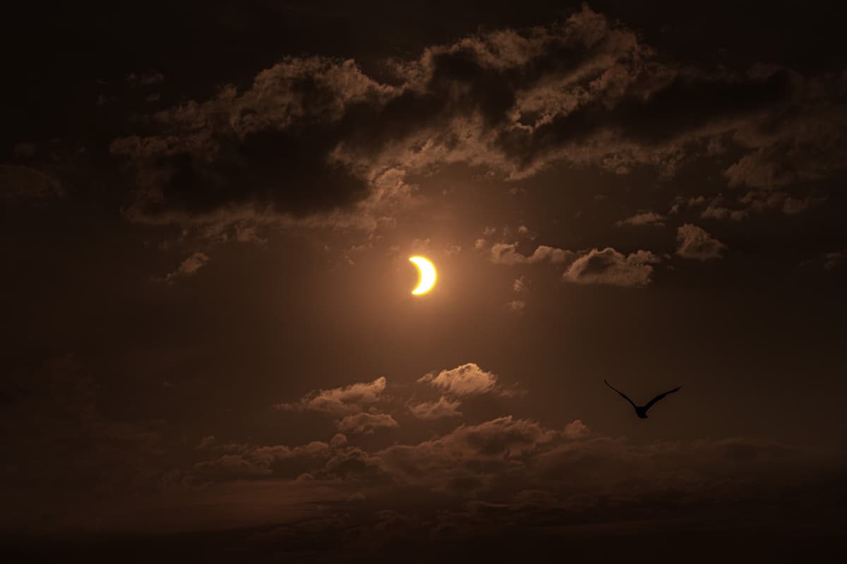 When the next solar eclipse is and how much of the Sun will be covered ...
