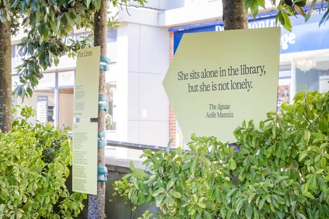 Plot Lines art installation outside Waterlooville Library