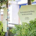 Plot Lines art installation outside Waterlooville Library