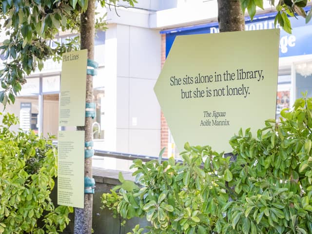 Plot Lines art installation outside Waterlooville Library