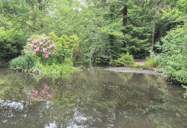 Holly Hill Woodland Park. Photo: Arkwood/FBC planning portal