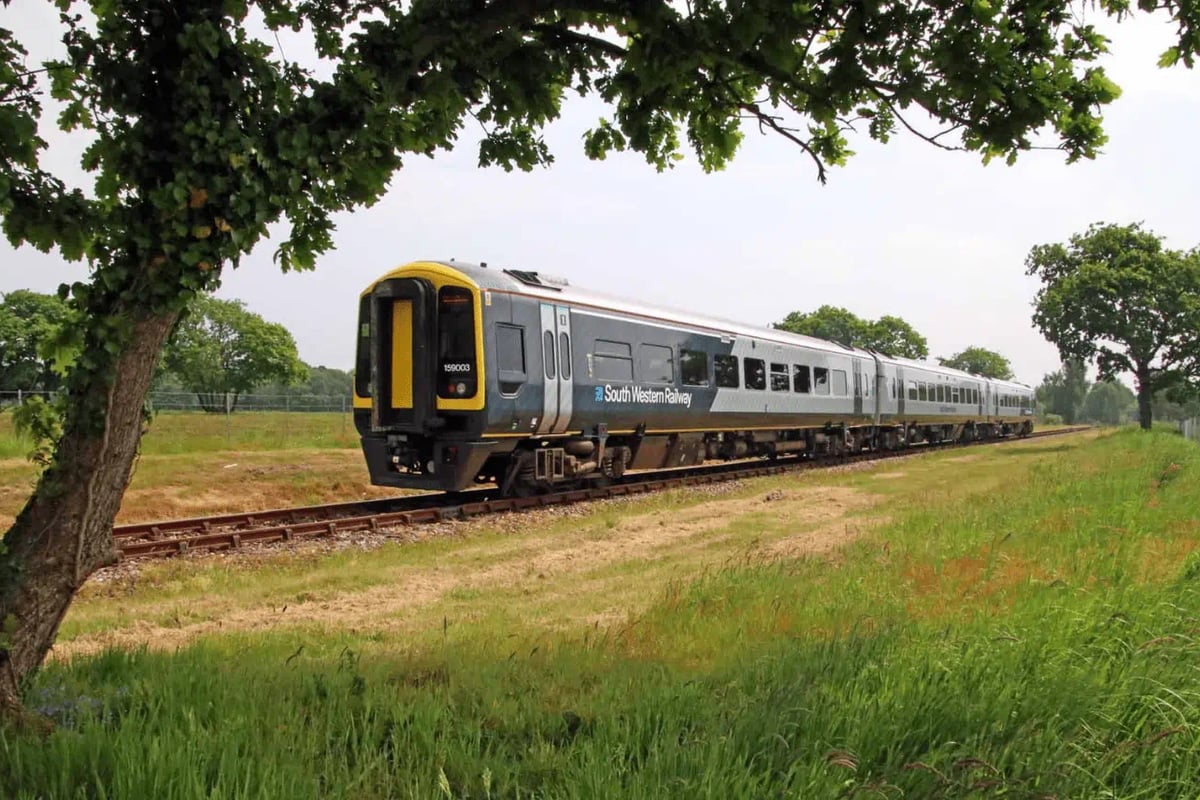 Tree falls on railway line and blocks trains travelling from London Waterloo to Portsmouth - cancellations