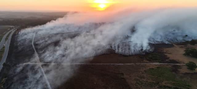 The A31 fire in the New Forest