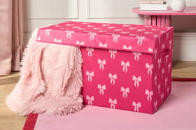 Online Home Shop's hot pink bow-print storage box has helped me tidy away household items that have looked unsightly in my home for years.