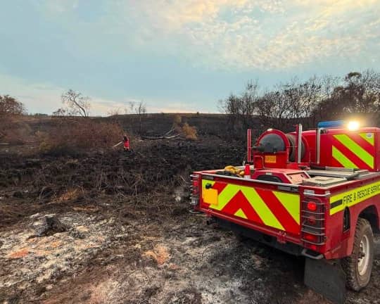 Fire service to leave the New Forest