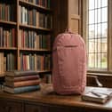 The Shilton 18L Backpack has adjustable straps, a padded back panel and multiple pockets, and is ideal for school, university, work or travel. Pictured is the dusty rose colour.