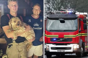 Cookie the dog was saved by firefighters after getting his head stuck in a garden breezeblock.