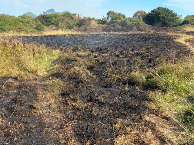 Pictures showing the aftermath of one of the Stokes Bay fires on the afternoon of August 25. Fire crews are extinguishing the flames, with the service informing police about the suspected arson.