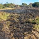 Pictures showing the aftermath of one of the Stokes Bay fires on the afternoon of August 25. Fire crews are extinguishing the flames, with the service informing police about the suspected arson.