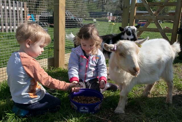 Little Acorns, in Wickham, is celebrating its tenth anniversary.