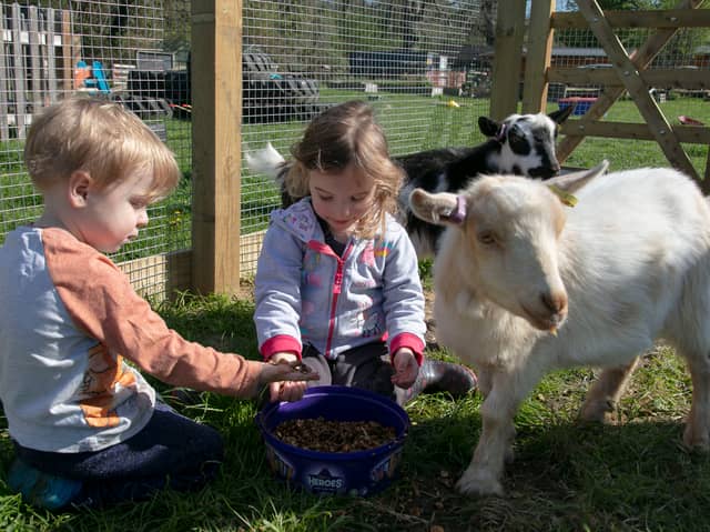 Little Acorns, in Wickham, is celebrating its tenth anniversary. 