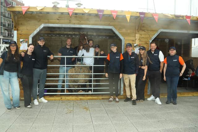 Photos from the pop-up racehourse event at Gunwharf Quays