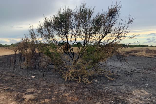 The aftermath of a fire in the Fort Road and Crescent Road area of Gosport, near Fort Gilkicker