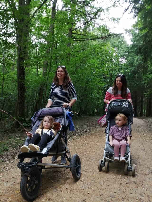 Miles without stiles route in the Forest of Bere (Forestry England) just outside Wickham