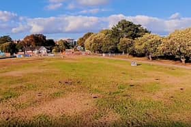 Green grass returning to Canoe Lake
